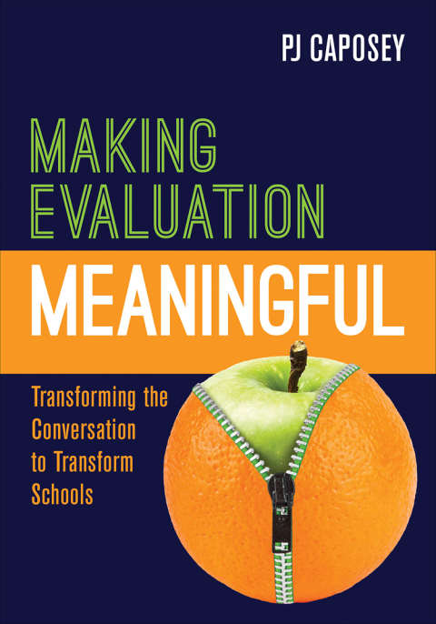 Cover image for book Making Evaluation Meaningful