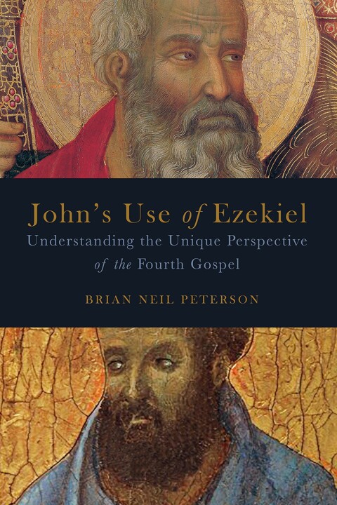 Cover image for book John's Use of Ezekiel: Understanding the Unique Perspective of the Fourth Gospel