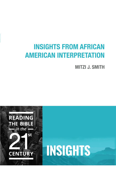 Cover image for book Insights from African American Interpretation