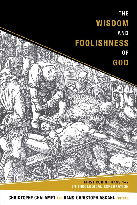 Cover image for book The Wisdom and Foolishness of God