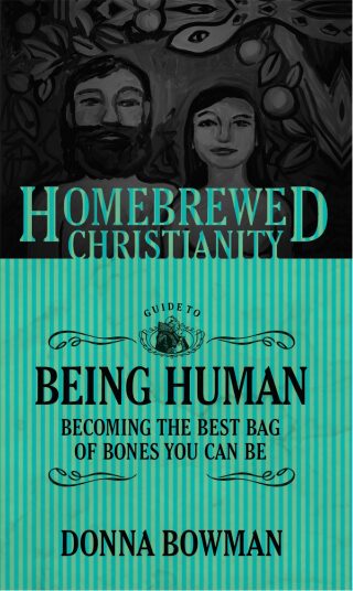 The Homebrewed Christianity Guide to Being Human: Becoming the Best Bag of Bones You Can Be