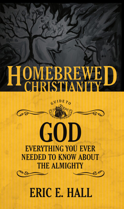 Cover image for book The Homebrewed Christianity Guide to God: Everything You Ever Wanted To Know about the Almighty