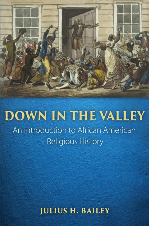Cover image for book Down in the Valley: An Introduction to African American Religious History