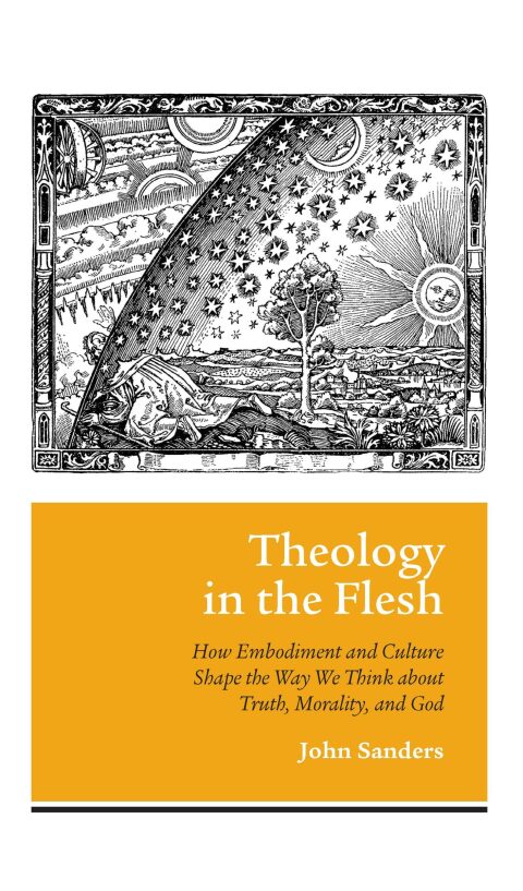 Cover image for book Theology in the Flesh