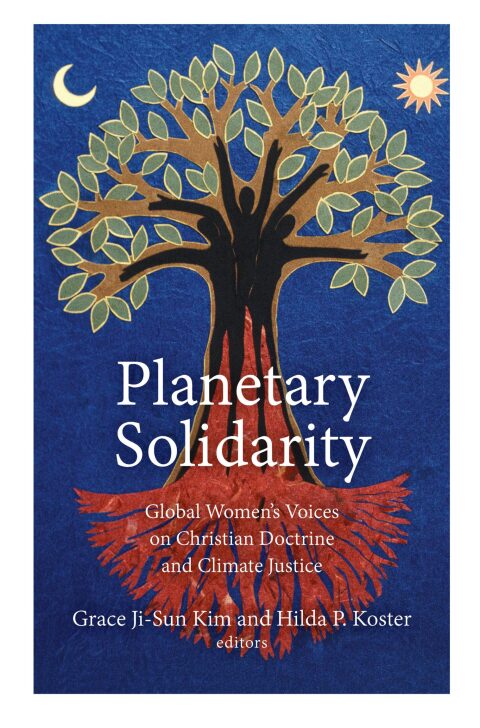 Cover image for book Planetary Solidarity
