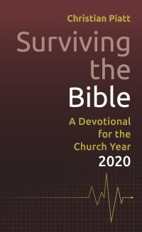 Titelbild: Surviving the Bible 9781506420639
