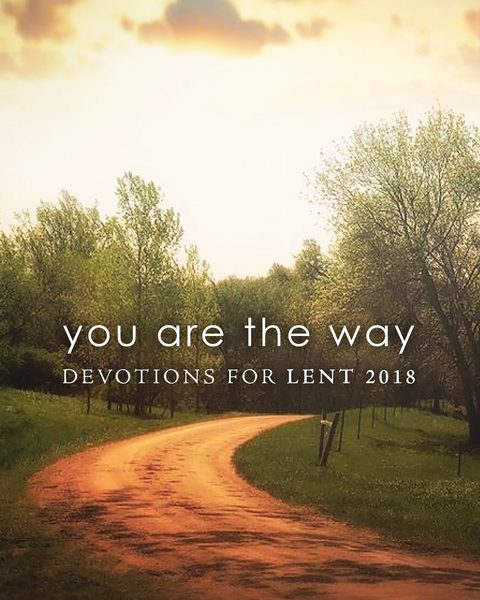 Cover image for book You Are the Way