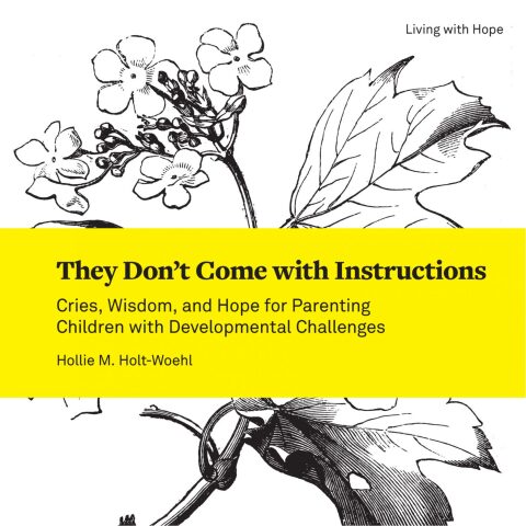Cover image for book They Don't Come with Instructions: Cries, Wisdom, and Hope for Parenting Children with Developmental Challenges