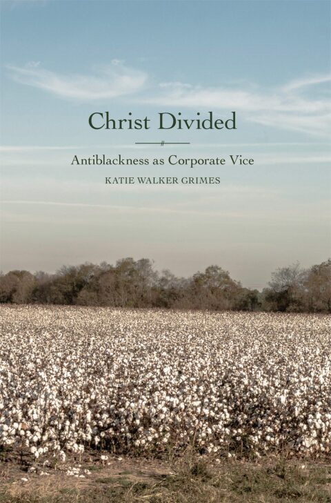 Cover image for book Christ Divided