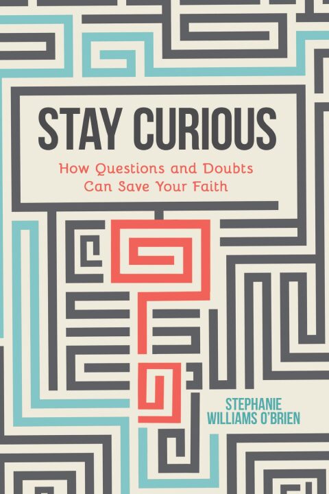 Cover image for book Stay Curious: How Questions and Doubts Can Save Your Faith