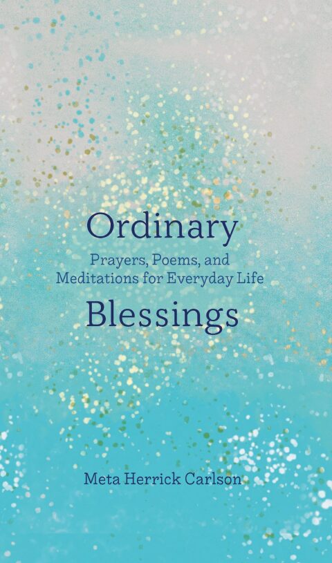 Cover image for book Ordinary Blessings