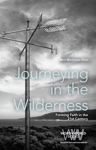 Journeying in the Wilderness: Forming Faith in the 21st Century