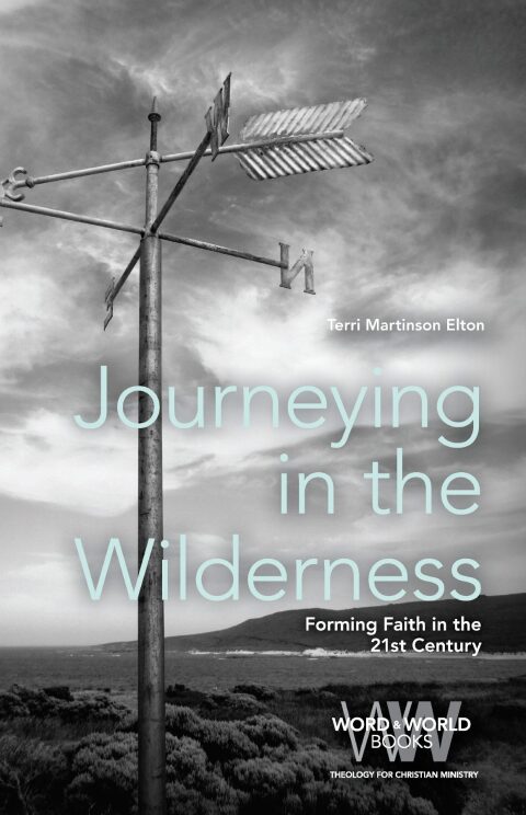 Cover image for book Journeying in the Wilderness