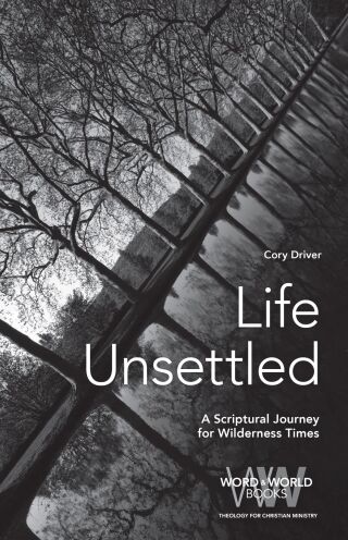 Life Unsettled: A Scriptural Journey for Wilderness Times