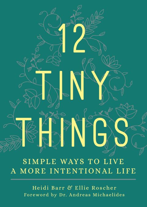 Cover image for book 12 Tiny Things