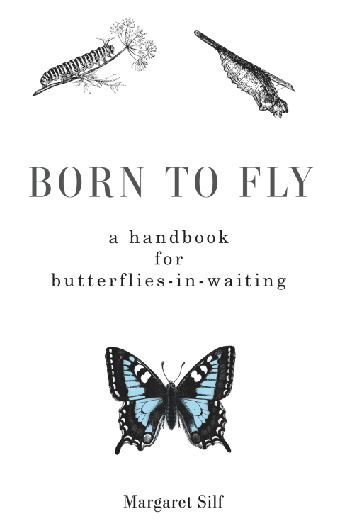 Cover image for book Born to Fly