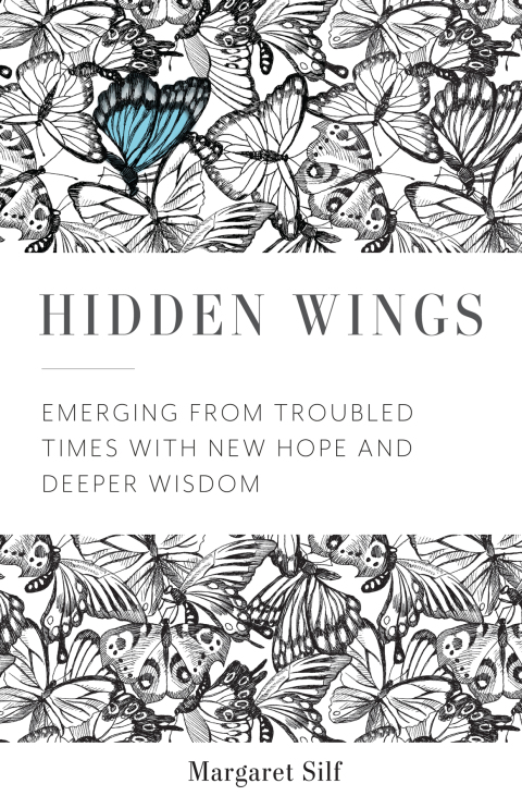Cover image for book Hidden Wings