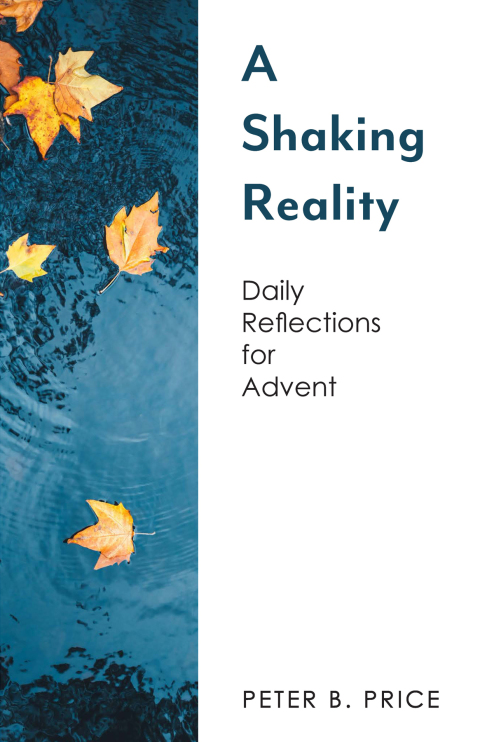Cover image for book A Shaking Reality