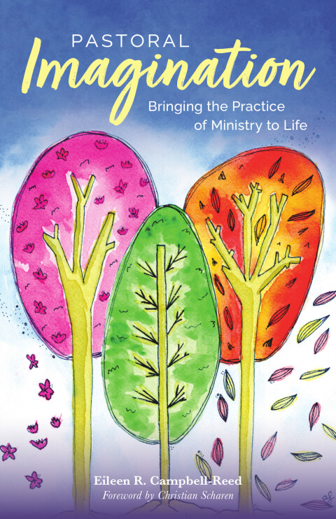 Cover image for book Pastoral Imagination: Bringing the Practice of Ministry to Life