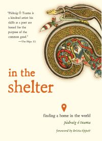 Cover image: In the Shelter 9781506470528