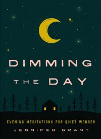 Cover image: Dimming the Day 9781506471198