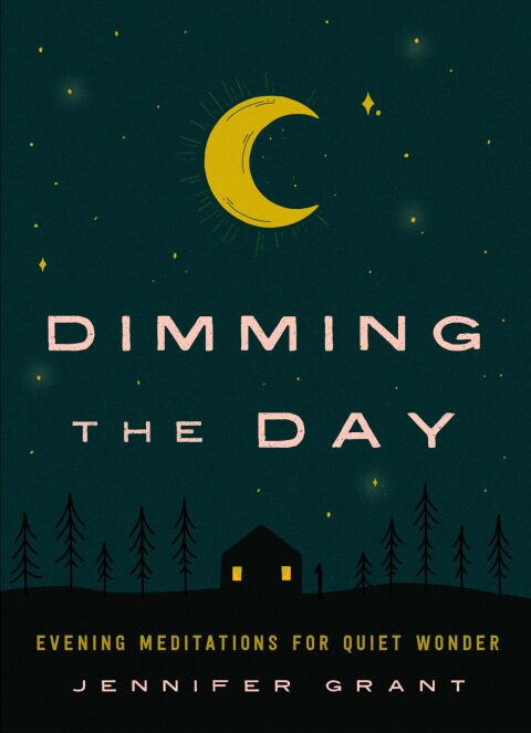 Dimming the Day 