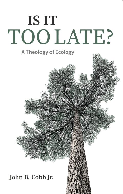 Cover image for book Is It Too Late?: A Theology of Ecology