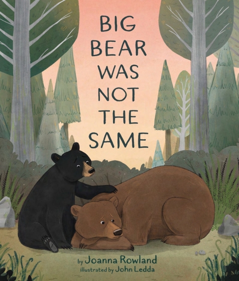 Cover image for book Big Bear Was Not the Same