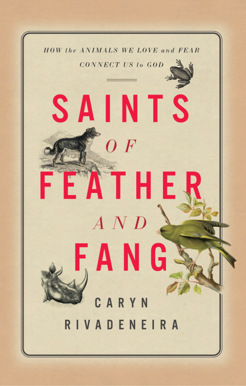 Cover image for book Saints of Feather and Fang: How the Animals We Love and Fear Connect Us to God