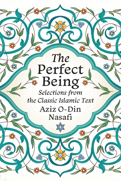 Cover image for book The Perfect Being