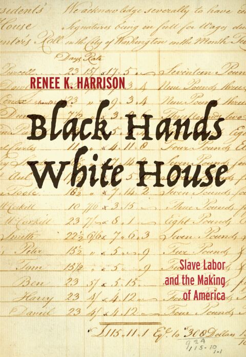Cover image for book Black Hands, White House