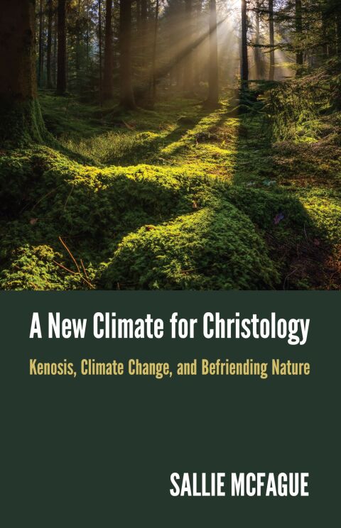 Cover image for book A New Climate for Christology