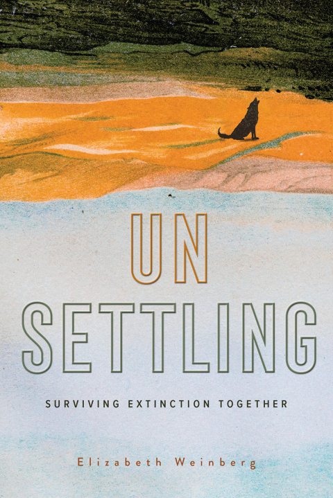 Cover image for book Unsettling
