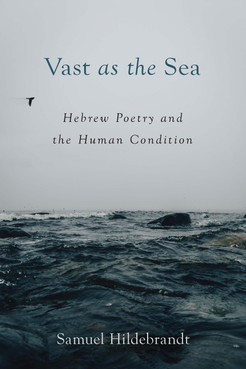 Cover image for book Vast as the Sea: Hebrew Poetry and the Human Condition