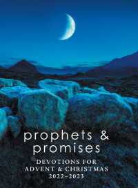 Cover image: Prophets and Promises 9781506488028