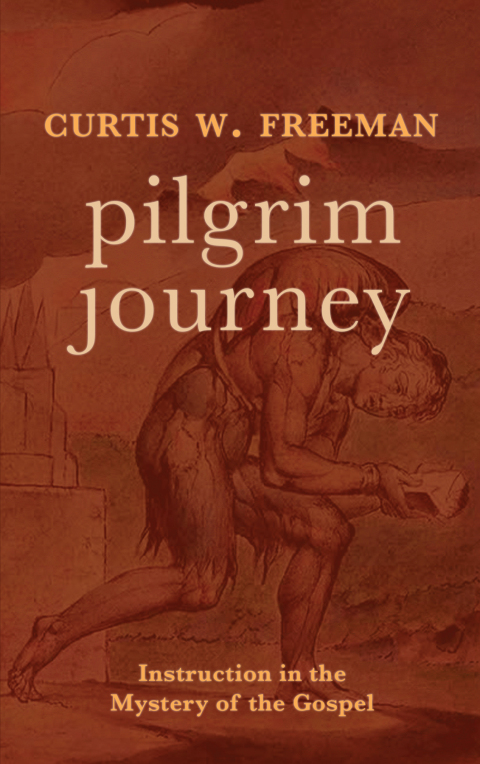 Cover image for book Pilgrim Journey: Instruction in the Mystery of the Gospel