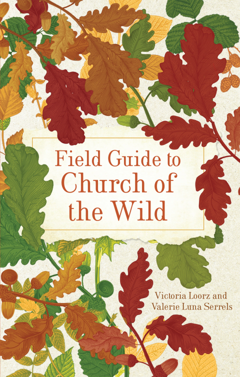 Cover image for book Field Guide to Church of the Wild