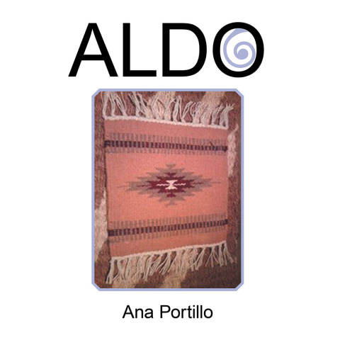Cover image for book Aldo