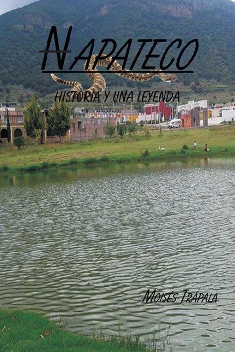 Cover image for book Napateco Historia Y Una Leyenda