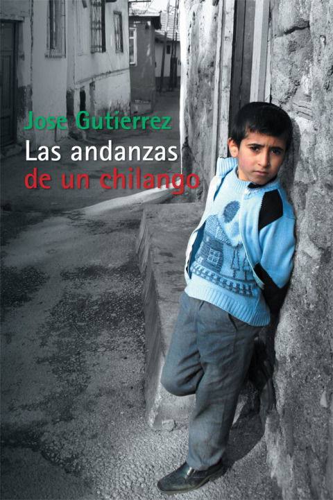 Cover image for book Las Andanzas De Un Chilango