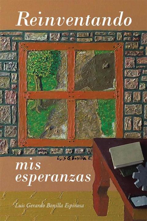 Cover image for book Reinventando Mis Esperanzas