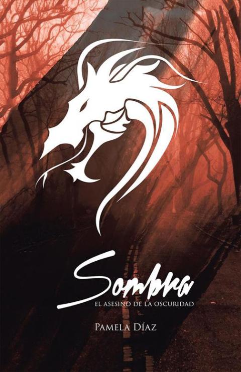 Cover image for book Sombra, El Asesino De La Oscuridad