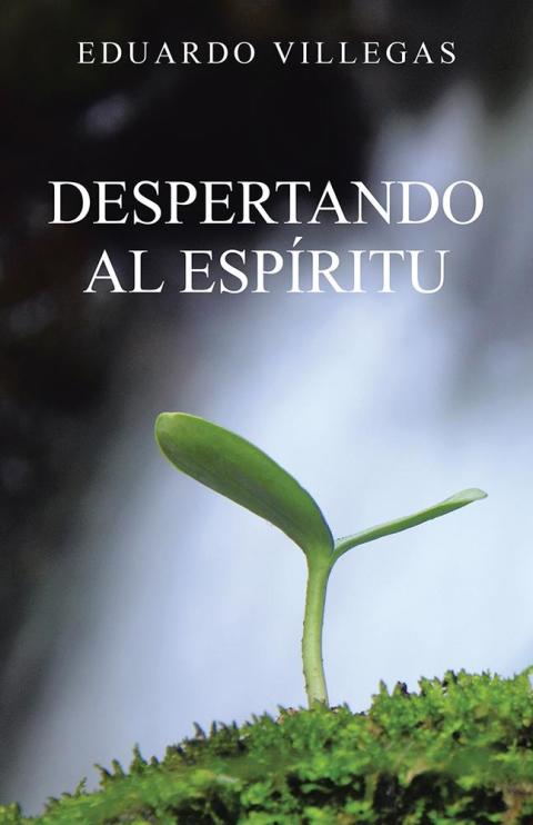 Cover image for book Despertando Al Espíritu