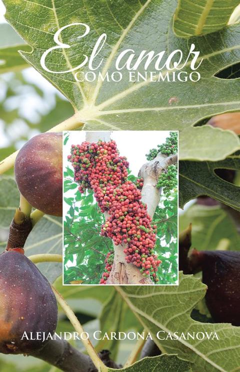 Cover image for book El Amor Como Enemigo