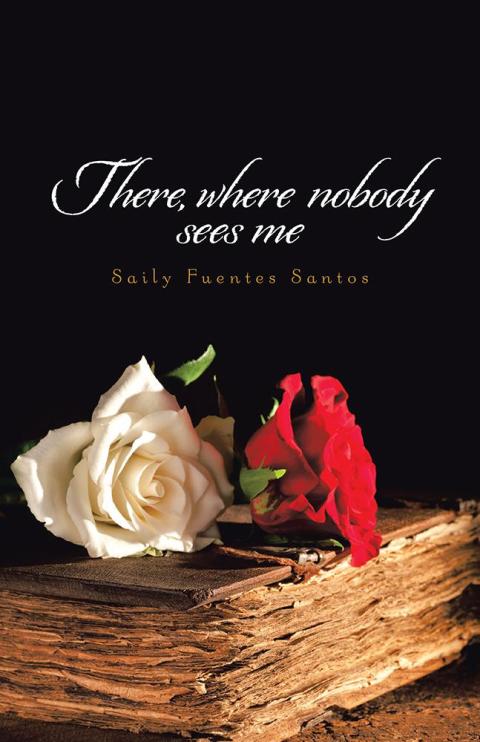 Cover image for book There, Where Nobody Sees Me