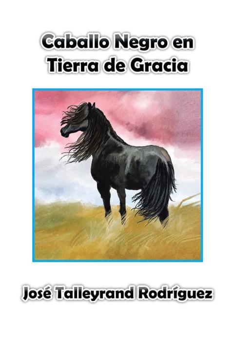 Cover image for book Caballo Negro En Tierra De Gracia