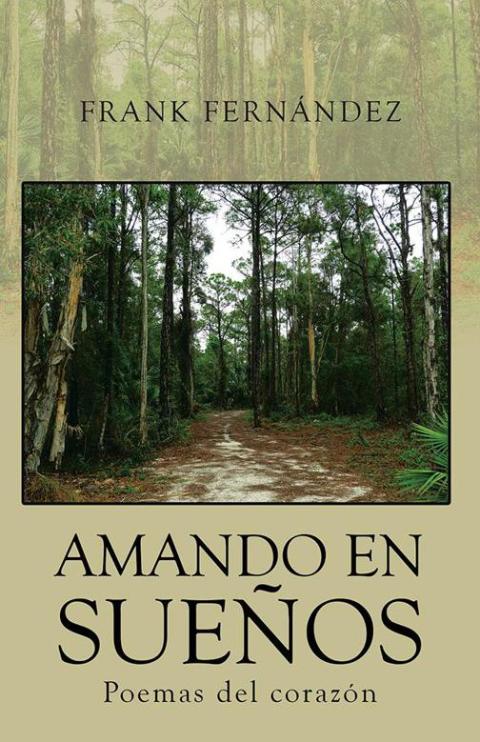 Cover image for book Amando En Sueños