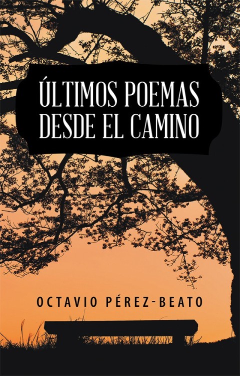Cover image for book Últimos Poemas Desde El Camino