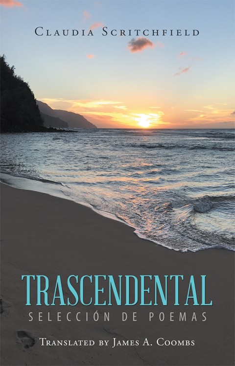 Cover image for book Trascendental