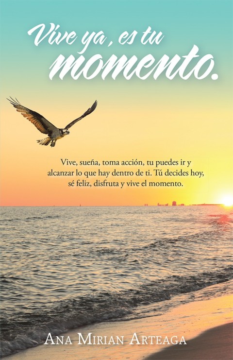 Cover image for book Vive Ya, Es Tu Momento